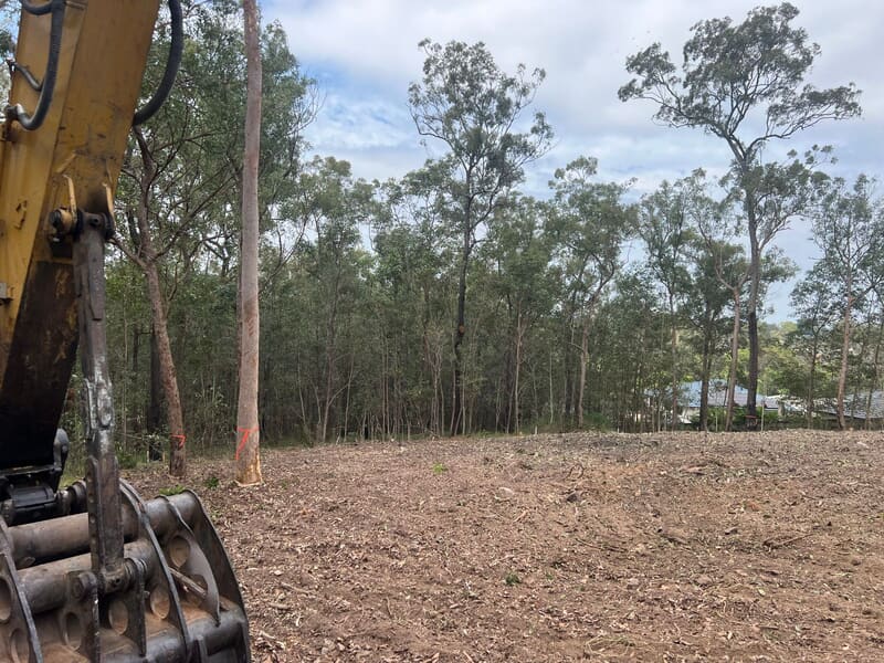 Retained trees marked with orange flagging tape at the clearing line
