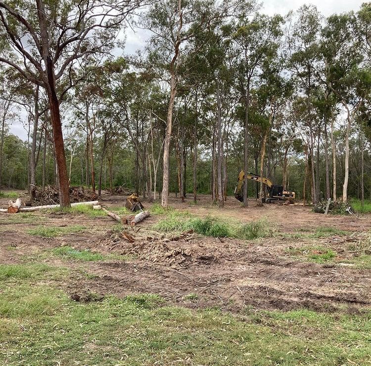 Excavator finishing the underscrubbing work beneath retained trees