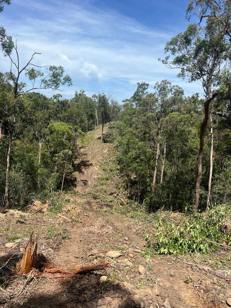 Steep cleared section of the corridor climbing toward the ridge